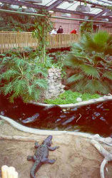 Krokodilhalle (c) tiergaerten.de