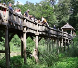 Baumerlebnis­pfad über dem Wolfs­gehege (c) Zoo Eberswalde