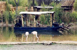 Sambesi-River (c) Erlebniszoo Hannover