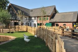 Clemenshof 
(c) Zoo Köln