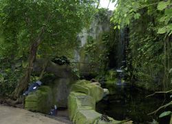 Tropenhaus / Regenwald 
(c) Zoo Köln