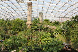 Blick durch Gondwanaland mit Bootsfahrt und Baumwipfeln (c) Zoo Leipzig