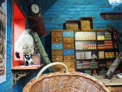 Weißrüsselnasenbär Hugo (c) Zoo Leipzig