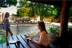 Nashornlodge (c) Allwetterzoo Münster