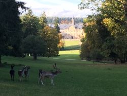 Schlosspark 
(c) WildPark Schloß Tambach